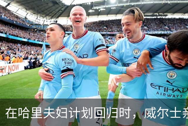 在哈里夫妇计划回归时，威尔士亲王坚定反对王室“半进半出
